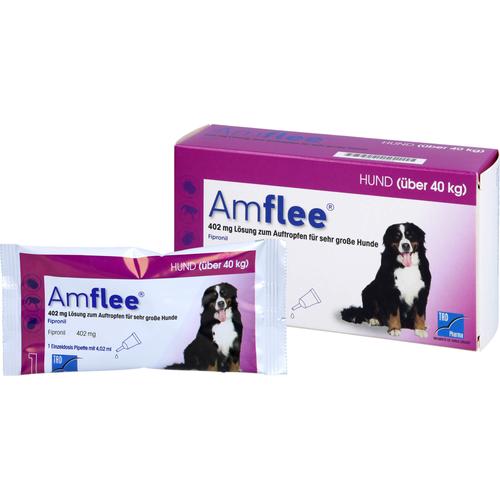Amflee 402mg H 40-60kg 3 St Tad Pharma Gmbh bei onfy.de kaufen 11099869