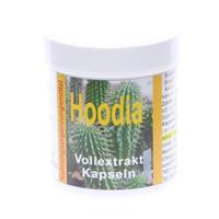 Hoodia Vollextrakt 600 mg null