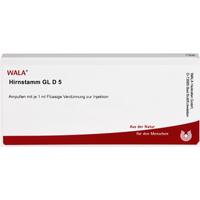 Hirnstamm Gl D 5 null
