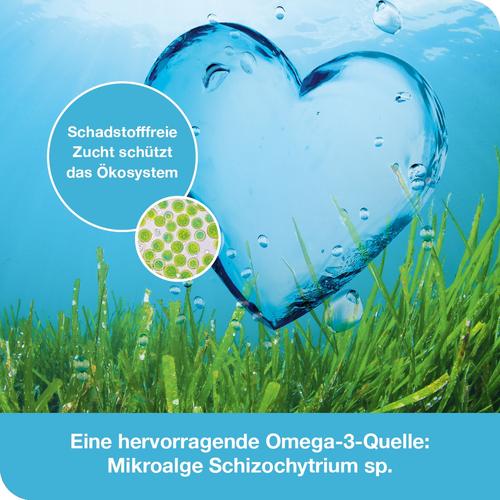 Omega3-Loges Pflanzlich 120 St Dr. Loges bei onfy.de kaufen 13980425