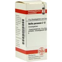 Bellis Perennis C12 null