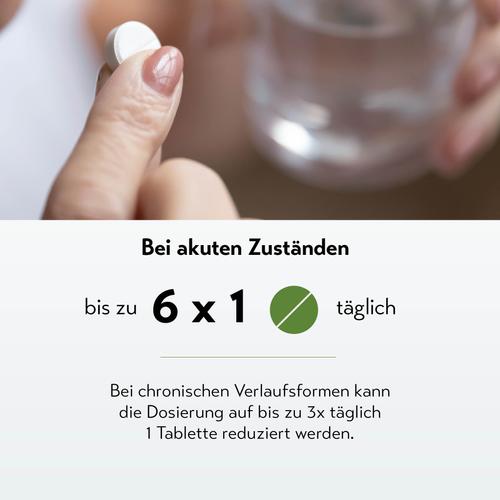 Meliston Tabletten 2x80 St PharmaSGP bei onfy.de kaufen 08300008