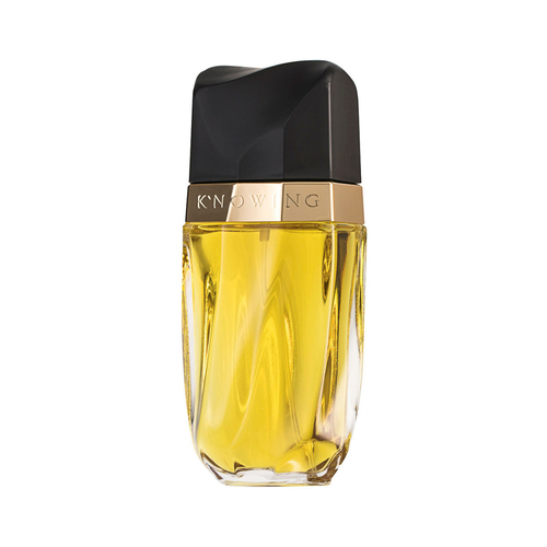 Estée Lauder Knowing Eau de Parfum 75 ml Coty bei onfy.de kaufen 00027131006534