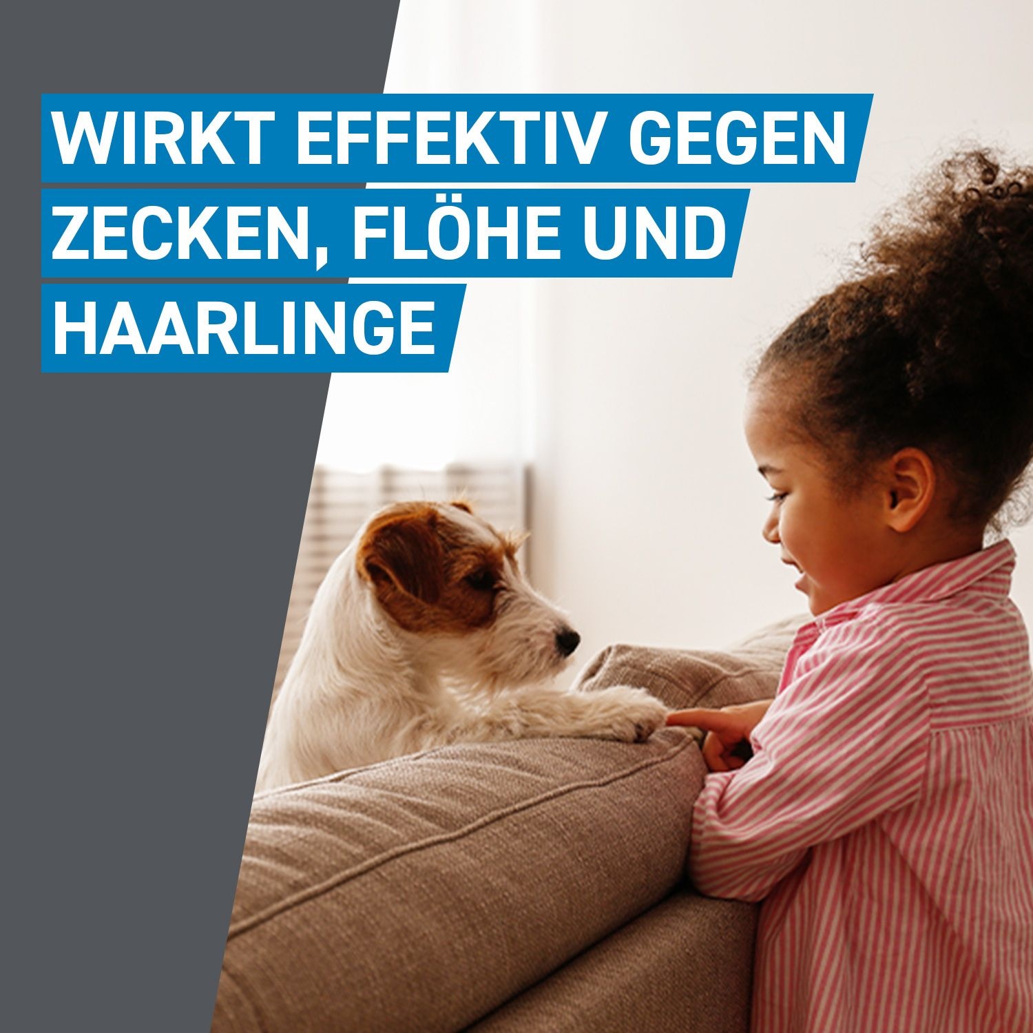 Frontline Spot On H 20 Vet 6 St Boehringer Ingelheim Vetmedica Gmbh bei onfy.de kaufen 02246395
