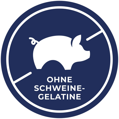 Ocuvite Citicolin 60 St Dr. Gerhard Mann bei onfy.de kaufen 19145149