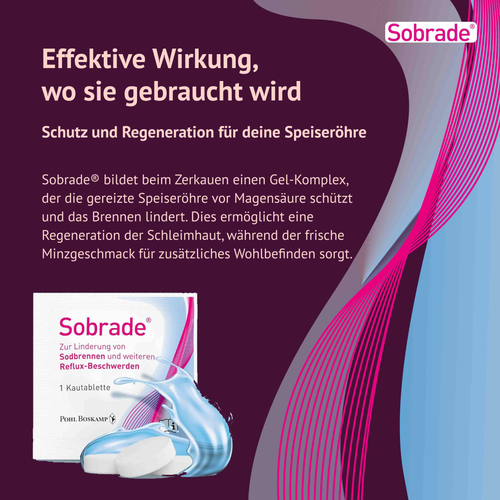Sobrade 20 St G. Pohl-Boskamp bei onfy.de kaufen 16015707
