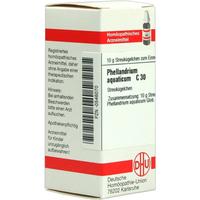 Phellandrium Aquat C30 null