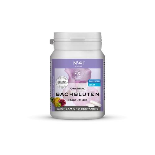 Konzentration Kaugummi nach Dr. Bach 40 St Hager Pharma bei onfy.de kaufen 03629655