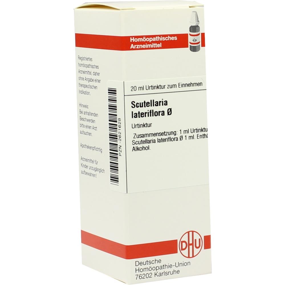 Scutellaria Lat Urt null