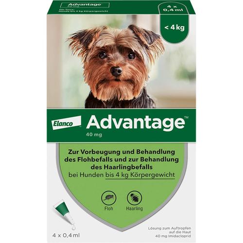 Advantage 40 Hund 4 St Elanco Deutschland Gmbh bei onfy.de kaufen 08613305