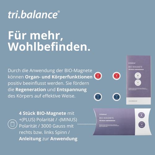 Tri.balance Bio-Magnete Im Etui 4 St tri.balance base products bei onfy.de kaufen 01547031
