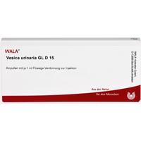 Vesica Urinaria Gl D15 null