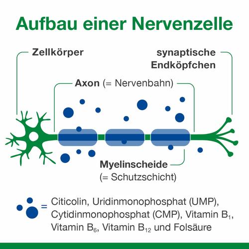 Neurologes Concept 30 St Dr. Loges bei onfy.de kaufen 17308110