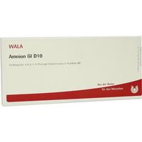 Amnion Gl D10 null