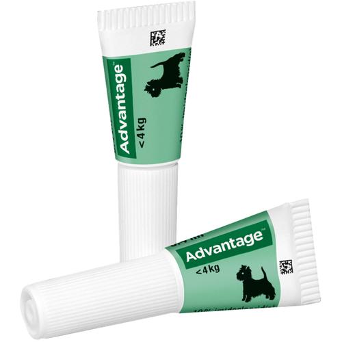 Advantage 40 Hund 4 St Elanco Deutschland Gmbh bei onfy.de kaufen 08613305