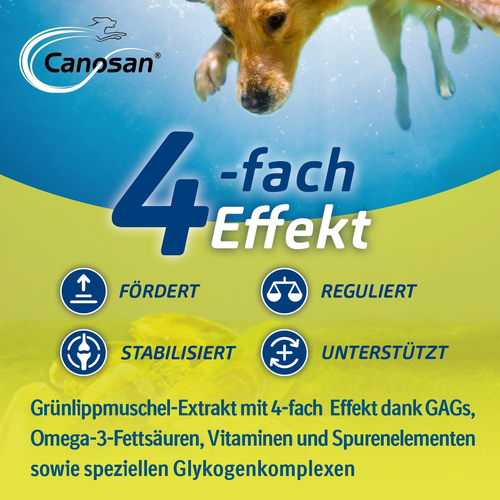 Canosan Konzentrat 1300 g Boehringer Ingelheim VETMEDICA bei onfy.de kaufen 08594157