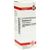 Belladonna D 6 null