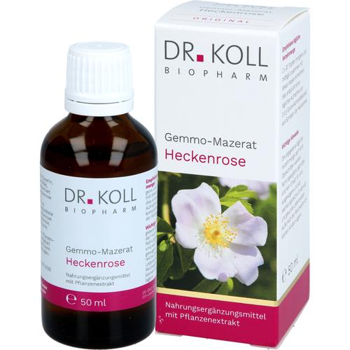 Gemmo-Mazerat Heckenrose Dr. Koll Rosa Canina 50 ml Dr. Koll Biopharm bei onfy.de kaufen 20059969