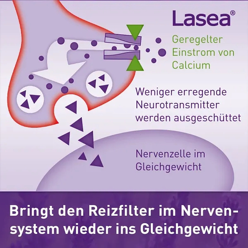 Lasea Weichkapseln 14 St Dr.Willmar Schwabe bei onfy.de kaufen 05489603