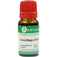 Cimicifuga Arca Lm 18 null