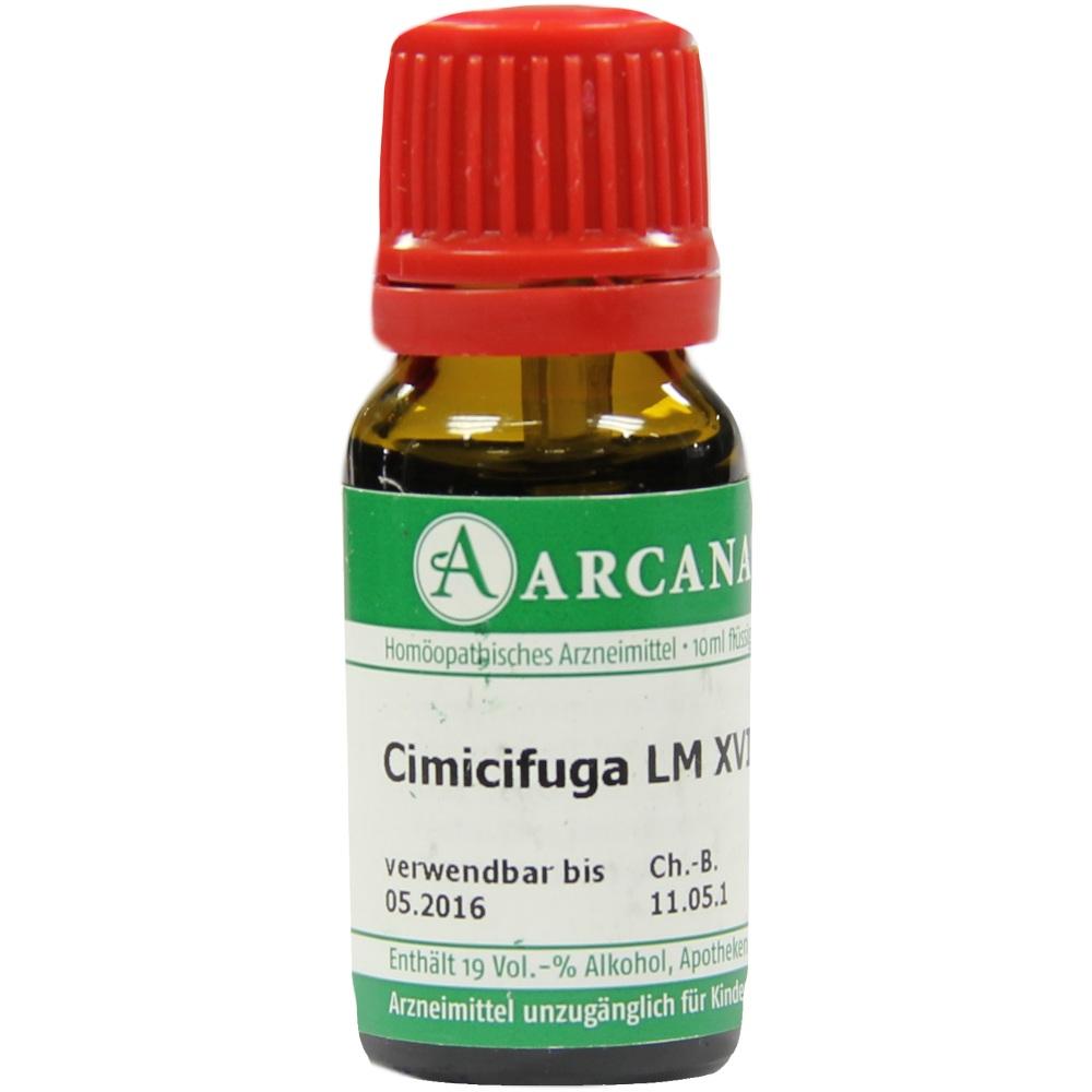 Cimicifuga Arca Lm 18 null
