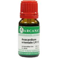 Anacardium Orientale Lm 6 null