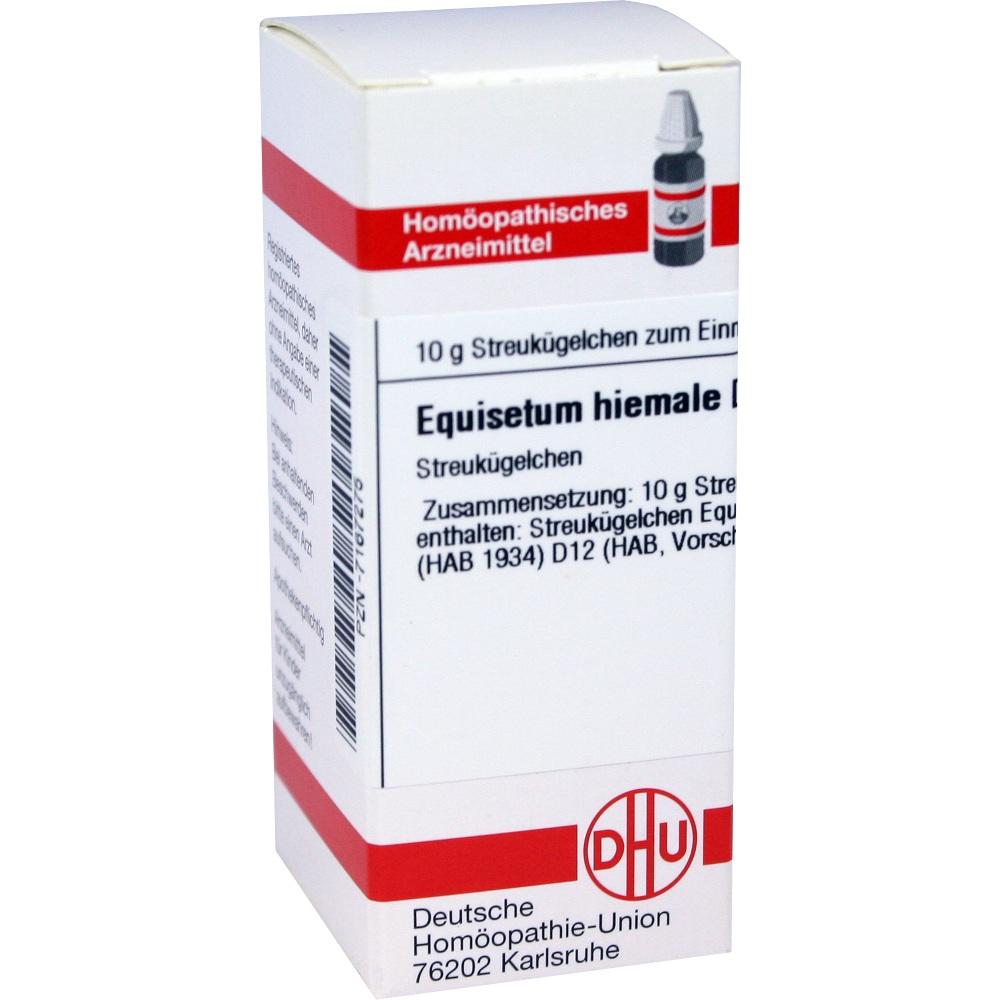 Equisetum Hiemale D12 null