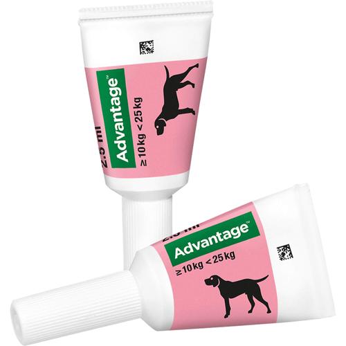 Advantage 250 Hund 4 St Elanco Deutschland Gmbh bei onfy.de kaufen 08613328