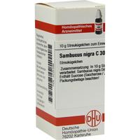 Sambucus Nigra C30 null