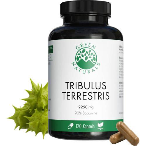 Green Naturals Tribulus Terrestris 2.250 mg Vegan 120 St Heilpflanzenwohl bei onfy.de kaufen 19973917