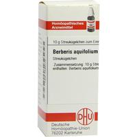 Berberis Aquif D 4 null