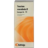 Synergon Kompl Teucrium Urtinktur Nr.15 null