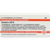Berberis Lm Vi null