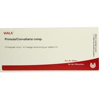 Primula/Convallaria Comp