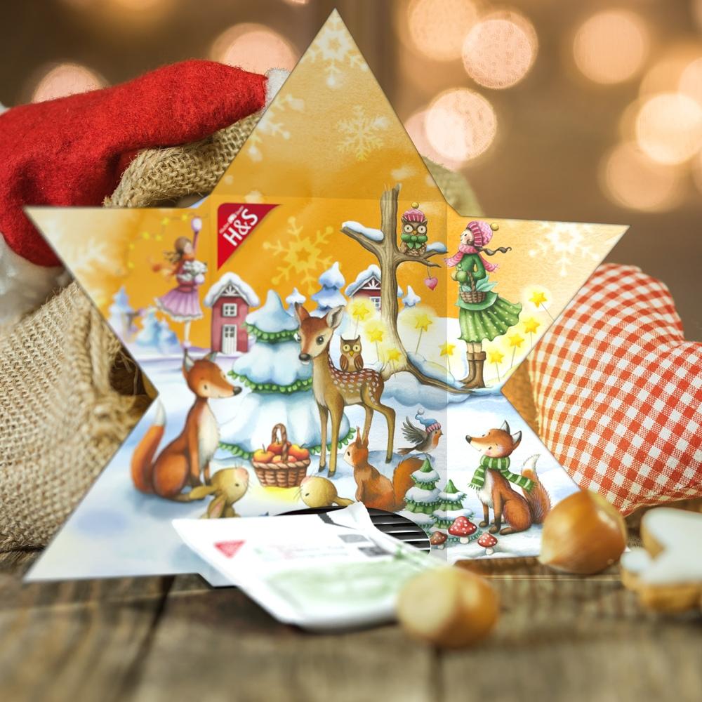 H&S Adventskalender Stern 24 St H&S Tee - Gesellschaft bei onfy.de kaufen 19268001