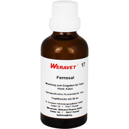 Ferrosal 17 Vet 50 ml Biokanol Pharma Gmbh bei onfy.de kaufen 00225288