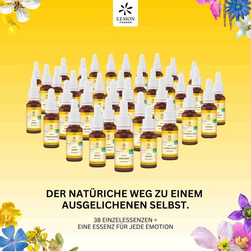 Bachbluete 7 Chest Bud Bio 20 ml Hager Pharma bei onfy.de kaufen 10310523