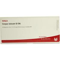 Corpus Luteum Gl D 6 null
