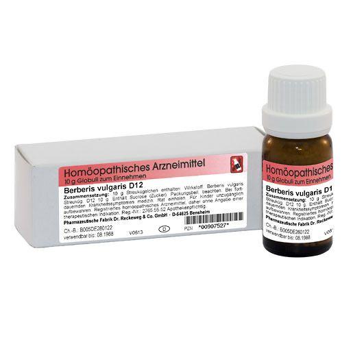 Berberis Vulgaris D12 10 g Dr.RECKEWEG bei onfy.de kaufen 00907527