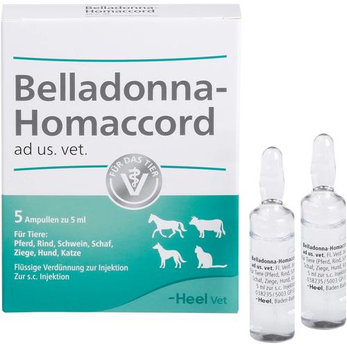 Belladonna Homaccord Vet 5 St Biologische Heilmittel Heel Gmbh bei onfy.de kaufen 02551626