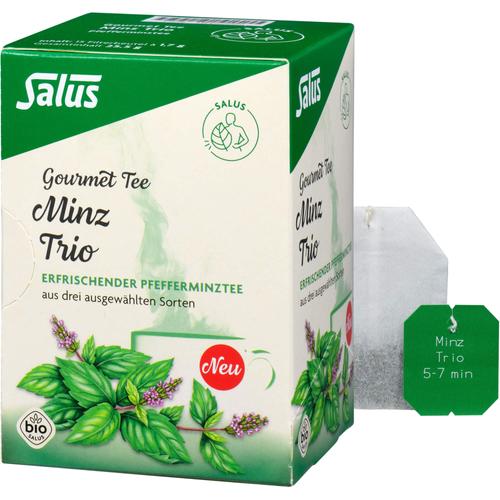 Minz Trio Gourmet Tee Bio Salus 15 St SALUS Pharma bei onfy.de kaufen 18452582