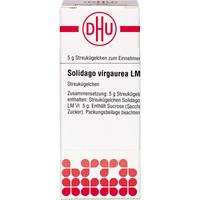 Solidago Virg Lm Vi null