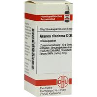 Aranea Diadema D30 null