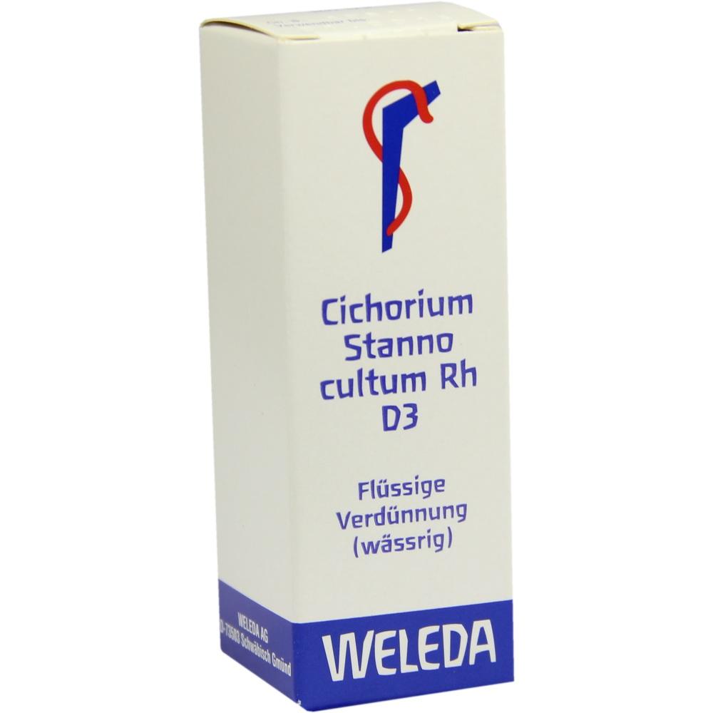 Cichorium St Cul Rh D 3