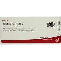 Iscucin Pini Staerke B null