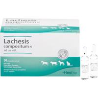 Lachesis Comp N Vet null