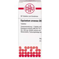 Equisetum Arv D 6 null