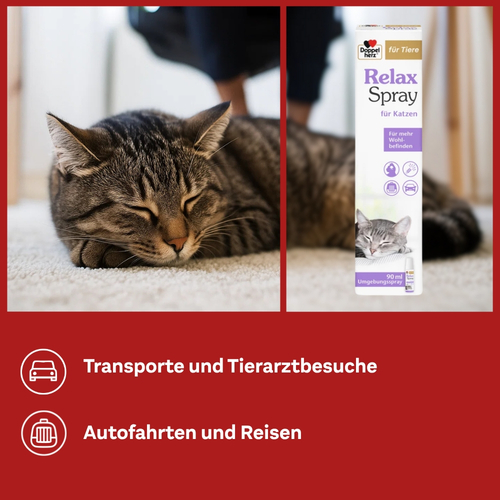 Doppelherz für Tiere Relaxspray für Katzen 90 ml Queisser Pharma bei onfy.de kaufen 18404689