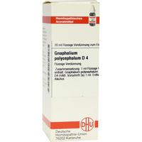 Gnaphalium Polyc D 4 null