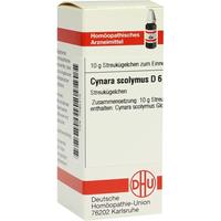 Cynara Scol D 6 null